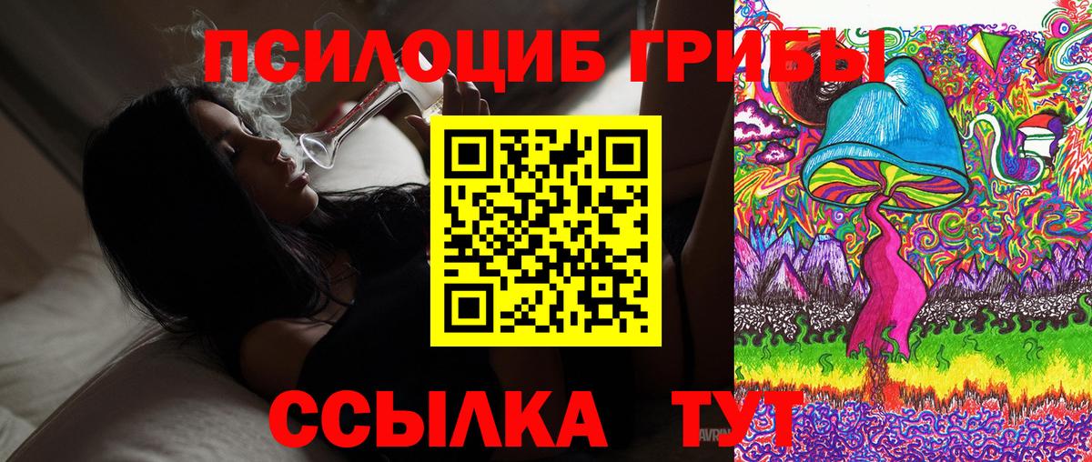 Псилоцибиновые грибы Psilocybine cubensis Саяногорск